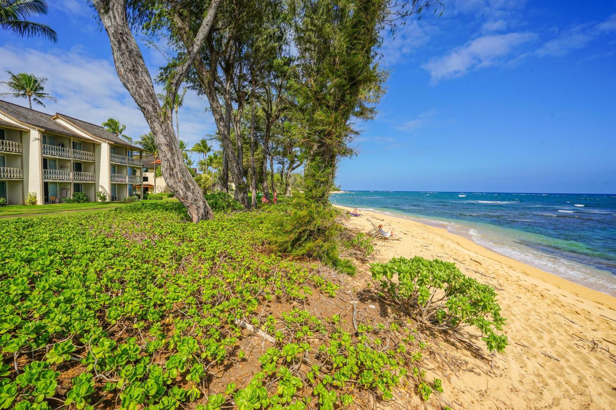 Islander On The Beach Kapa'a Oda fotoğraf
